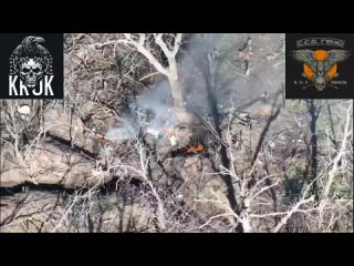 Ukrainian forces destroy another Russian 2S9 with FPV drones