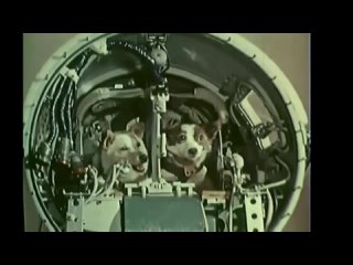 Belka and Strelka in space (Белка и Стрелка в космос)