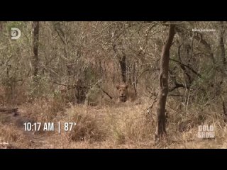 Голые и напуганные Сезон 19 серия 4 / Naked and Afraid