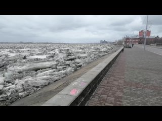 Уровень воды в реке Томь в Томске резко упал на метр после прорыва ледового затора в центре города. Об этом сообщил мэр Дмитр