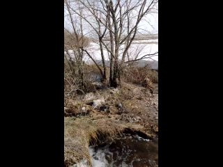 В деревне Брик-Алга Белебеевского района прорвало плотину...