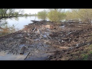 Видео от Александр Веселов. Об экологии