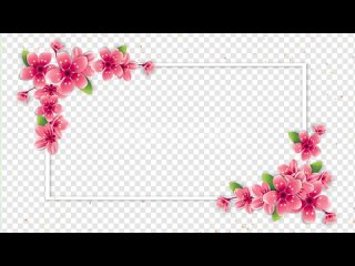 spring-flower-frame-alpha