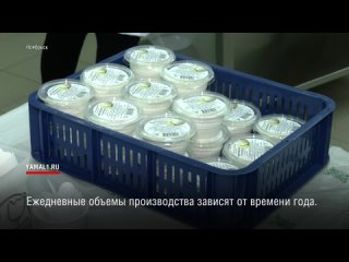 Почти тонну мороженого местного производства съели жители Ноябрьска за 9 месяцев