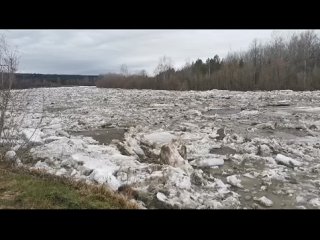 Река Бердь. Опасный паводок 2024