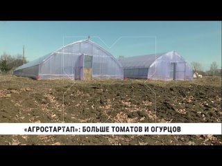 За пять лет самообеспеченность овощами в Хабаровском крае увеличилась в два раза — с 15 до 31 %. Это в том числе результат подде