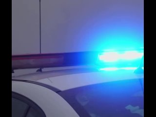 Кладмэн убил полицейского во время засады в Подмосковье