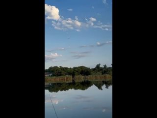 Видео от Серёги Кота