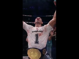 Бывший чемпион UFC Джуниор Дос Сантос финишировал Алана Белчера