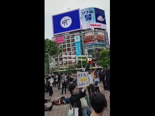 A number of Japanese students took to the streets in Tokyo in support for Palestine