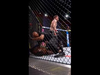 Видео от UFC | MMA | ПОП-ММА