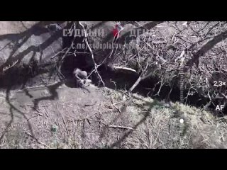 Новые кадры работы FPV пилотов дронами-камикадзе ВТ-40