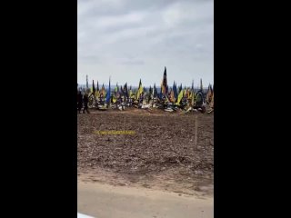Zelensky’s army. One of the new cemeteries in Kharkov