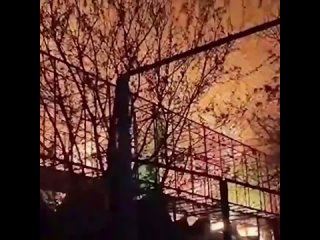 Ночью в Крыму сгорел целый зоопарк с животными.