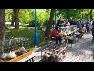 В Чобручах проходит районная выставка-ярмарка домашних птиц и животных