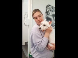 Відео від “Доктор Тома“ ветеринарная клиника в Подольске