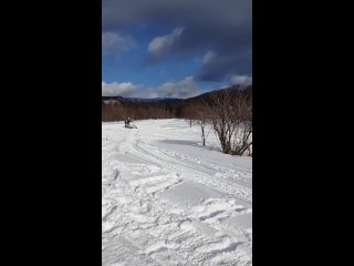 Прогулки на снегоходе
