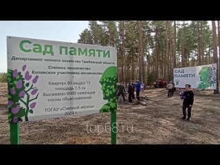 В Тамбовской области продолжается патриотическая акция «Сад памяти». На территории Степного лесхоза школьники и волонтёры высадя