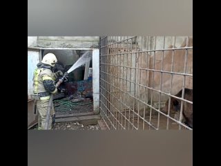 В Евпатории сгорел зоопарк «Тропик-парк» с экзотическими животными