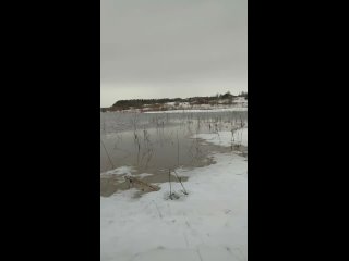 Видео от Холмогорский район
