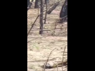 Footage of Russian soldiers destroying two Ukrainian reconnaissance boats on the Kinburn Spit (SMO Zone)