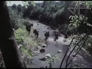 Как тренировались советские десантники в 60-х