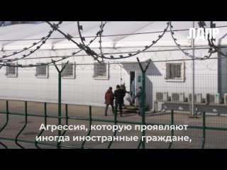 Леонид Слуцкий утверждает, что гражданство и пребывание в России — это особая привилегия, которую нужно заслужить.