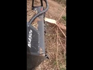Mulching a tree with a skid-steer attachment