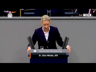 Алис Вайдель: Вы ненавидите Германию и поэтому делаете всё, чтобы её разрушить!