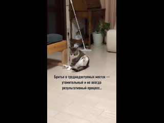 Видео от Шугаринг/депиляция, массаж лица Электросталь