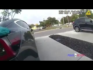 ‘Reno 911 IRL: Video of a cop shooting up his police car with a handcuffed unarmed suspect inside after hearing an acorn hit the