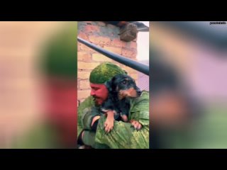 Хочу поделиться добрым видео, как спасли собачку в Оренбурге. Иногда от нас зависит больше чем мы ду