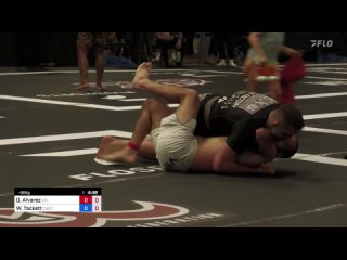 32F David Alvarez vs William Tackett 2024 ADCC North American Trials 2