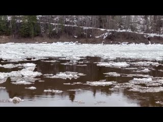 О прогнозах на ситуацию с паводком рассказали вологодские специалисты