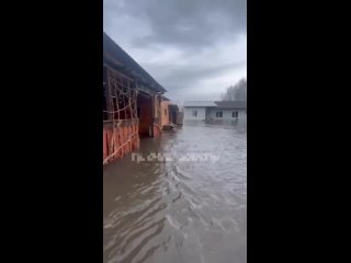 Уровень реки Тобол превысил 11 метров! 😱