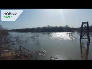 Курган 2024 Наводнение. Подвесной мост в пос. Вороновка