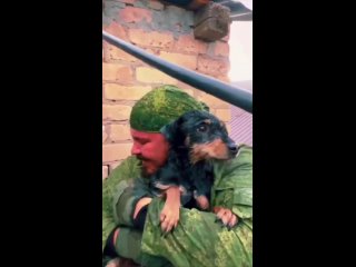 Мужики спасли собакена в пригороде Оренбурга, где сейчас бушует наводнение