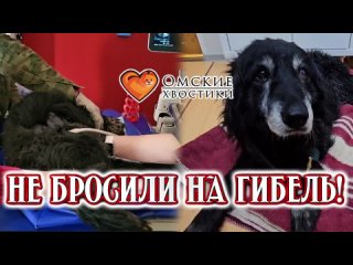 Не бросили на гибель! | Блэйд