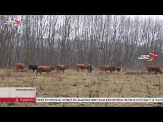 Как стать фермером и открыть свое дело с нуля