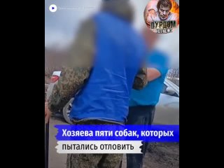 В Сызрани неизвестные избили сотрудников службы по отлову животных