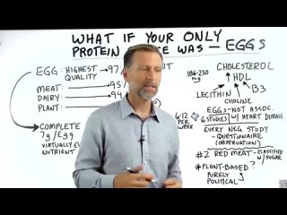 [Dr. Berg - официальный русскоязычный канал] Если яйца будут единственным источником белка, что произойдет?😲
