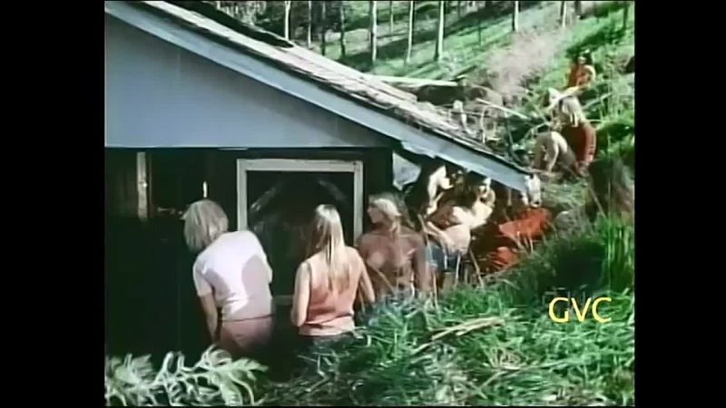 Gourmet Video Female Chauvinists ( Candy Samples, Uschi Digard, Linda York) Vintage Classic Porn 18+