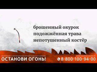 В День пожарной охраны хочу поблагодарить всех, кто борется с огнем, спасает людей и ликвидирует последствия возгораний