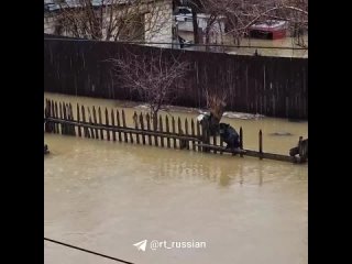 Житель Орска заметил пса, который залез на забор, спасаясь от наводнения