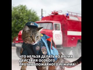 С 22 апреля в республике вводится особый противопожарный режим