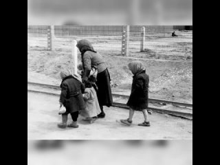 Пожилая женщина и дети идут на казнь в газовую камеру поставленную нацистами во время холокоста.