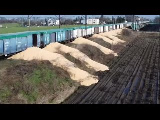 Польские фермеры высыпали на землю 12 вагонов украинского зерна, сообщают украинские СМИ.