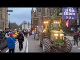 В центре Лондона начали забастовку аграрии