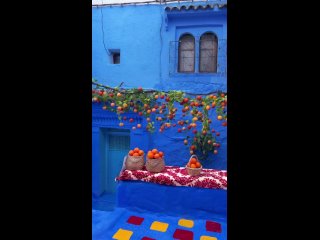 Step into the blue paradise of Chefchaouen