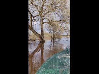 Видео от Лилии Смирновой